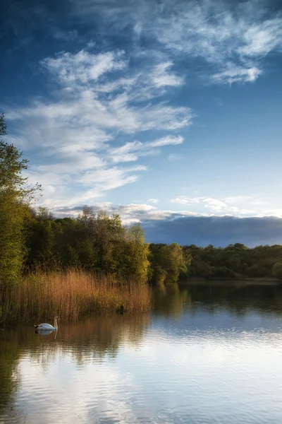 Coucher de soleil vibrant d'été reflété dans les eaux calmes du lac — Photo