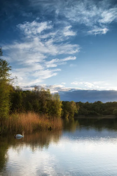 Summer vibrant sunset reflected in calm lake waters — Stock Photo, Image