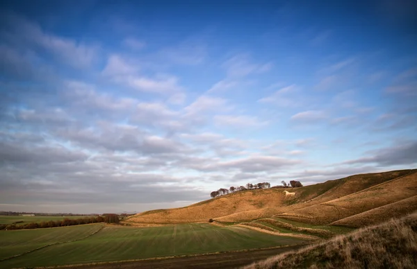 Antigo giz cavalo branco na paisagem em Cherhill Wiltshire Eng — Fotografia de Stock