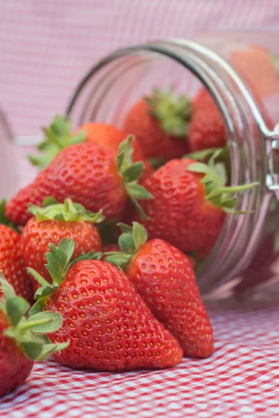 Tasty fresh strawberries in glass storage jar — Stock Photo, Image