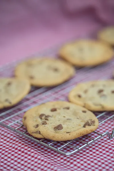 Bellissimi biscotti al cioccolato fatti a mano freschi — Foto Stock