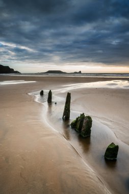 Landscape with old groynes protruding from sand on Rhosilli Bay  clipart
