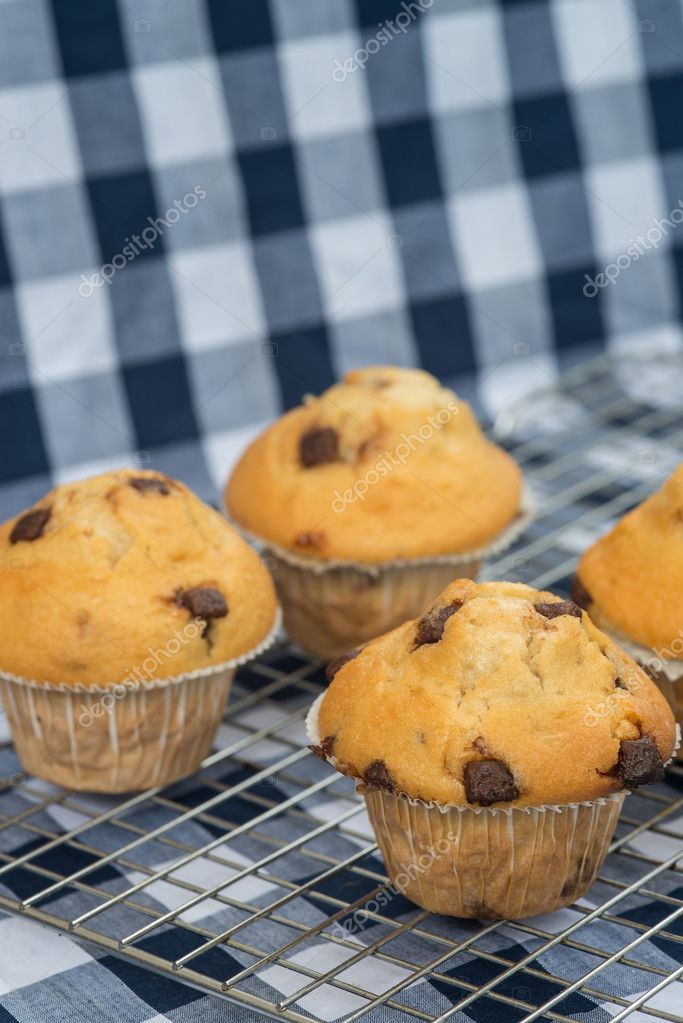 Home made tasty chocolate chip muffins on cooling rack — Stock Photo