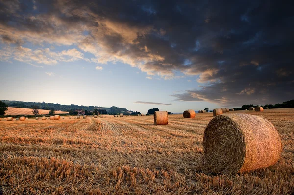 Beautiful golden hour hay bales sunset landscape — Stock Photo, Image