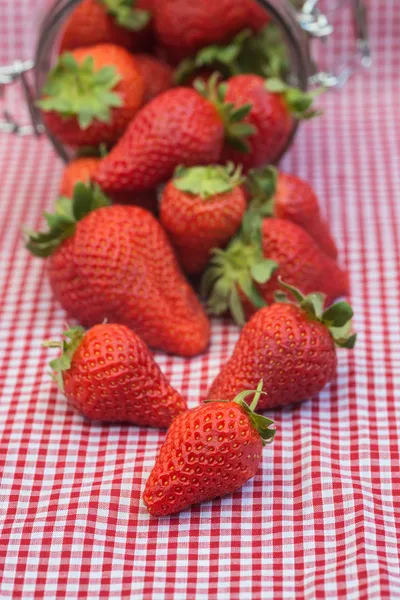 Tasty fresh strawberries in glass storage jar — Stock Photo, Image