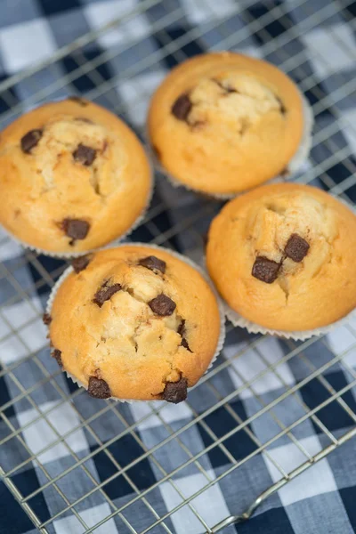 Home made tasty chocolate chip muffins on cooling rack — Stock Photo, Image