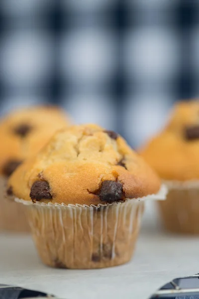 Smaczne babeczki domowej roboty chocolatechip — Zdjęcie stockowe