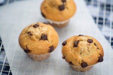 Ev raf soğutma üzerinde lezzetli çikolatalı Muffin yaptım