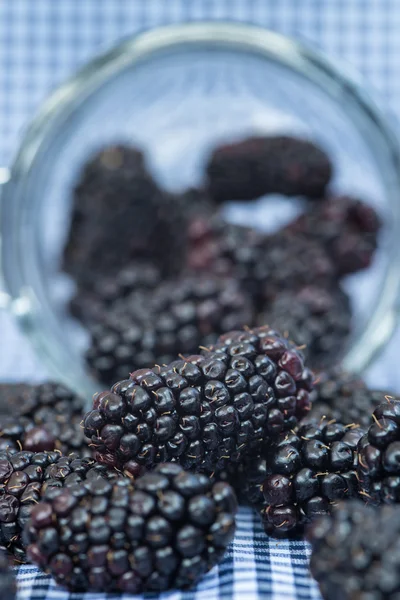 Fresh blackberries in glass jar — Stock Photo, Image