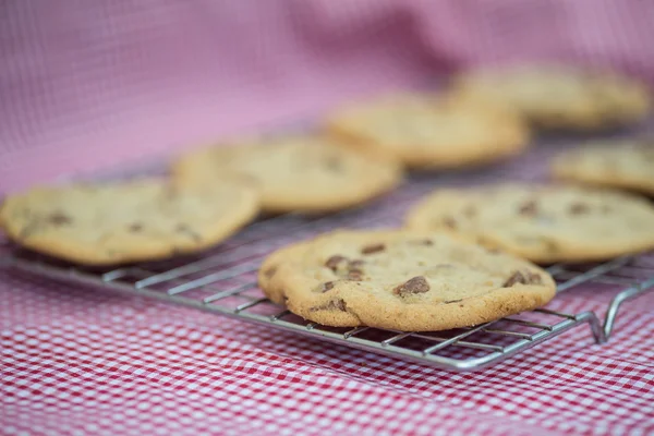 Beautiful fresh hand made chocolate chip cookies — Stock Photo, Image