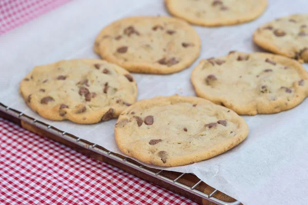 Beautiful fresh hand made chocolate chip cookies — Stock Photo, Image