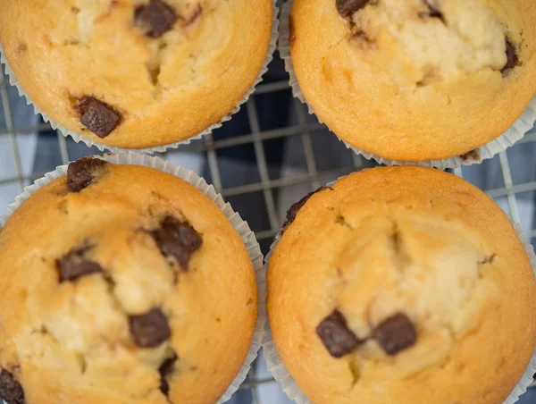 Hausgemachte leckere Schokoladenchips-Muffins auf Kühlregal — Stockfoto