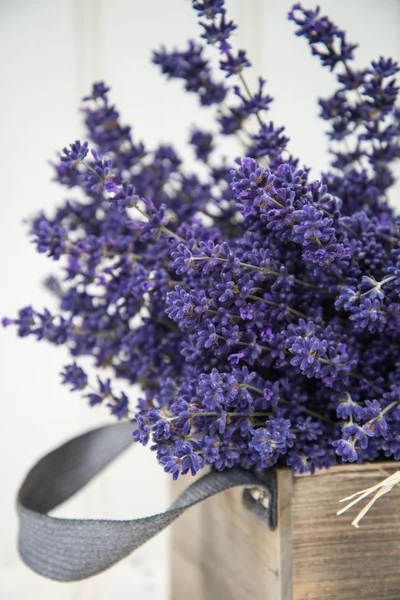 Mooie geurende lavendel bos in rustiek huis stijl instelling — Stockfoto