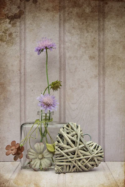 Bellissimo fiore in vaso con cuore natura morta concetto di amore — Foto Stock