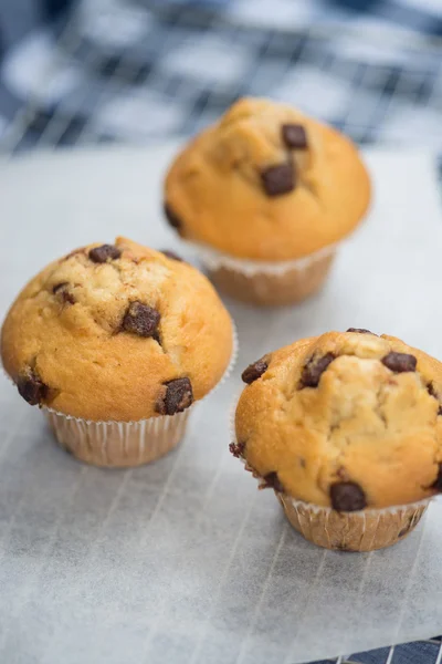 Zelfgemaakte heerlijke chocolade chip muffins op koeling rack — Stockfoto