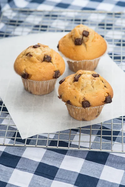 Ερασιτεχνικά βίντεο νόστιμο τσιπ σοκολάτας muffins σε ψύξη ράφι — Φωτογραφία Αρχείου