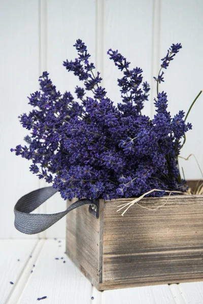 Mooie geurende lavendel bos in rustiek huis stijl instelling — Stockfoto