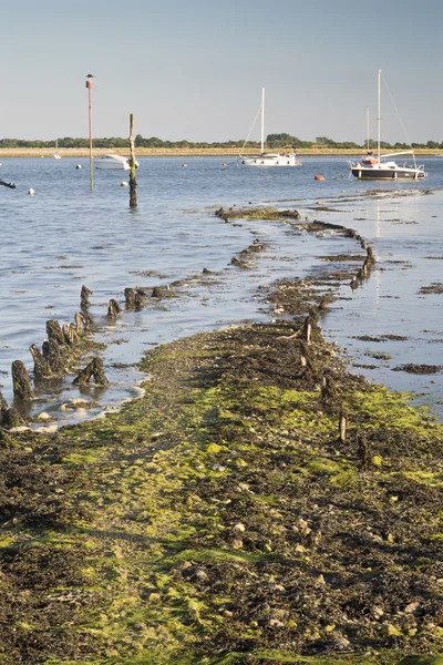 Paisaje vespertino a finales del verano a través del puerto con barcos — Foto de Stock