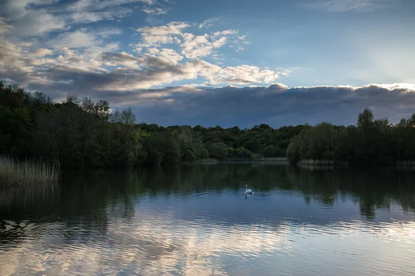 Summer vibrant sunset reflected in calm lake waters — Stock Photo, Image