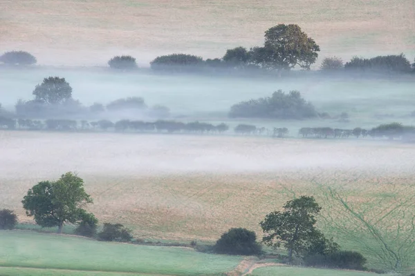 夏の終わりの間 南ダウンズ国立公園の畑を横切って英語のコントラストを転がす見事な霧の朝の風景画像 — ストック写真