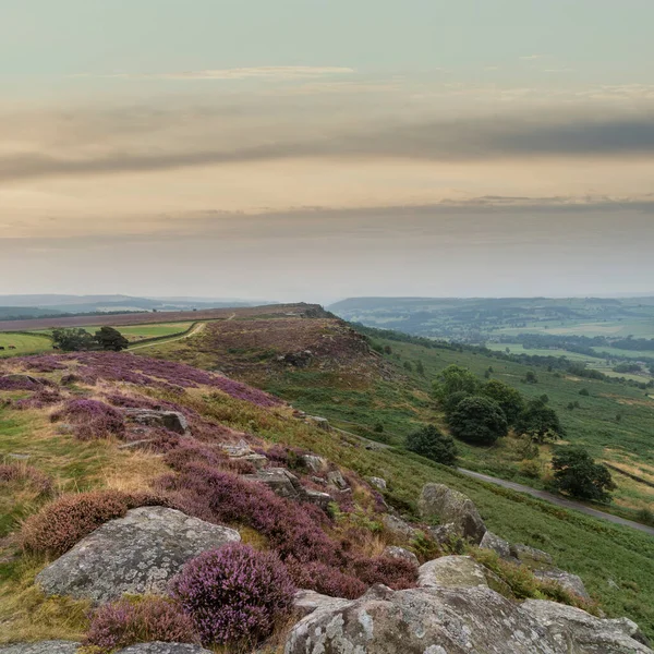 İngiltere 'nin Peak District Ulusal Parkı' ndaki Curbar Edge 'de son dönem yaz canlı fundasının çarpıcı manzara görüntüsü