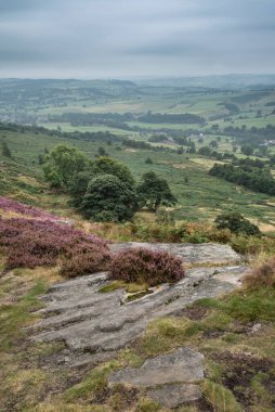İngiltere 'nin Peak District Ulusal Parkı' ndaki Curbar Edge 'de son dönem yaz canlı fundasının çarpıcı manzara görüntüsü