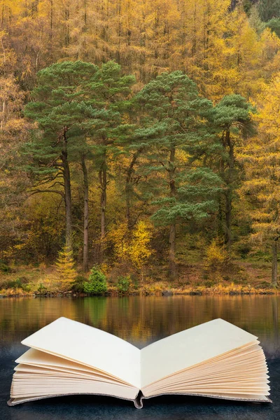 Oszałamiający Żywy Jesienny Krajobraz Blea Tarn Złotymi Kolorami Odbitymi Jeziorze — Zdjęcie stockowe