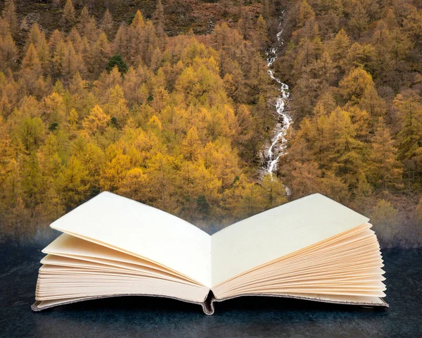 Prachtige Herfst Herfst Landschap Van Lariksboom Bos Met Rivier Waterval — Stockfoto