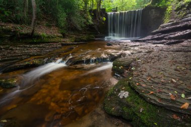 Galler 'deki Nant Mill şelalesinin göz kamaştırıcı sonbahar manzarası. Ormanda parlayan güneş ışığı.