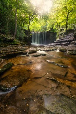 Galler 'deki Nant Mill şelalesinin göz kamaştırıcı sonbahar manzarası. Ormanda parlayan güneş ışığı.