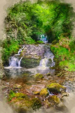 Lush Green Forest 'ın dijital suluboya tablosu. Yosun ve yosun kaplı kayaların üzerinden akan şelale sahnesi.