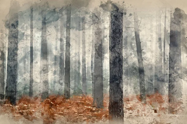 松の森の秋の風景霧の朝のデジタル水彩画 — ストック写真