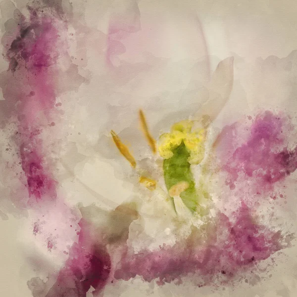 Digital Watercolour Painting Stunning Artistic Close Image Pink Flower Pollen — Foto Stock