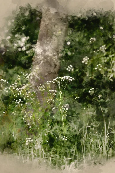 Digital Akvarellmålning Vacker Landskapsbild Den Engelska Landsbygden — Stockfoto