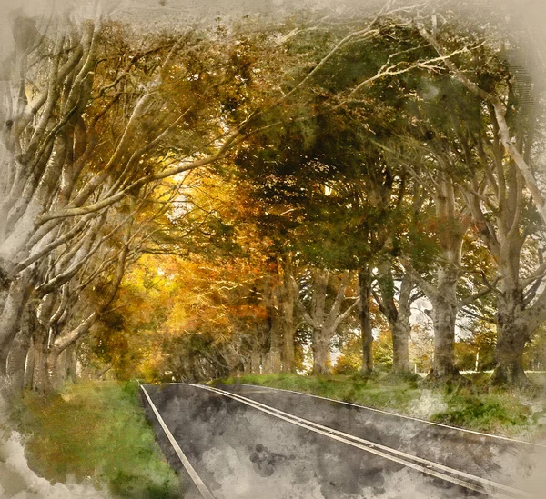 Digital Watercolour Painting Beautiful Autumn Landscape Road Forest Countryside Morning — стоковое фото