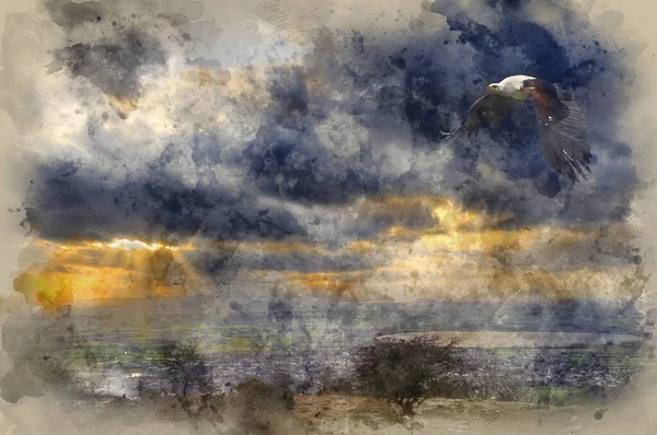 Digital Watercolour Painting African Fish Eagle Flight Beautiful Landscape Moody — 스톡 사진