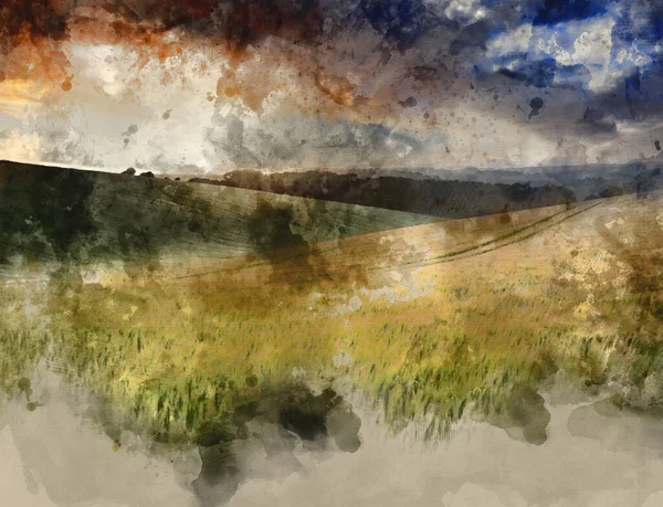 Aquarelle Numérique Beau Paysage Estival Champ Culture Blé Pendant Coucher — Photo