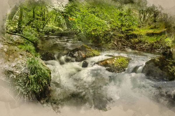 Digital Akvarellmålning Landskap Iamge Floden Rinner Genom Frodig Grön Skog — Stockfoto