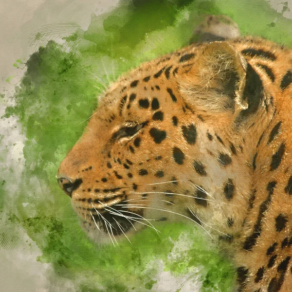 Digital Watercolour Painting Stunning Close Portrait Jaguar Panthera Onca Colorful — Stock Photo, Image