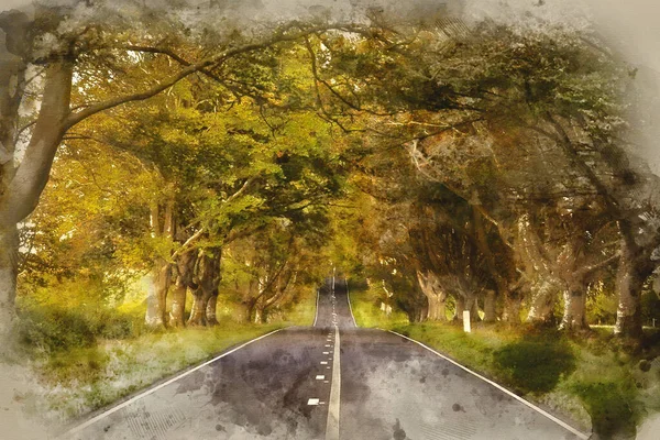 Digital Watercolour Painting Beautiful Autumn Landscape Road Forest Countryside Morning — Fotografia de Stock