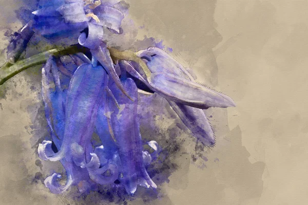 Digital Watercolour Painting Lovely Low Key Close Flower Bluebells Spring — стоковое фото