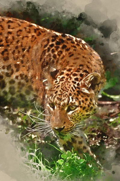나뭇잎 사이에 고양이 표범의 아름다운 초상화의 디지털 — 스톡 사진