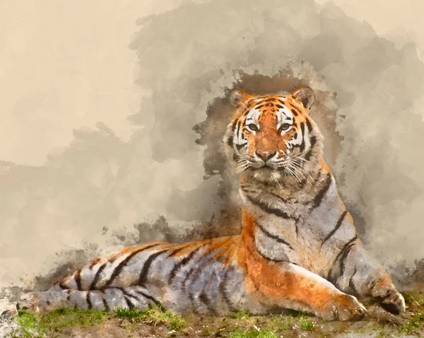Ψηφιακή Ακουαρέλα Ζωγραφική Όμορφη Τίγρη Κάθεται Όρθια Και Συναγερμού — Φωτογραφία Αρχείου