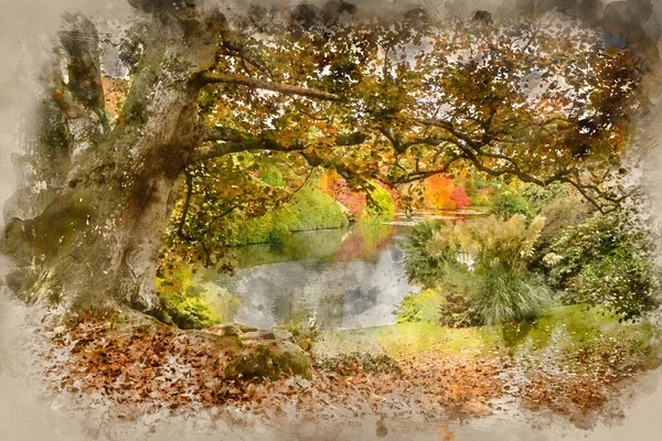 Digital Watercolour Painting Beautiful Vibrant Autumn Landscape Overlooking Lake — 스톡 사진