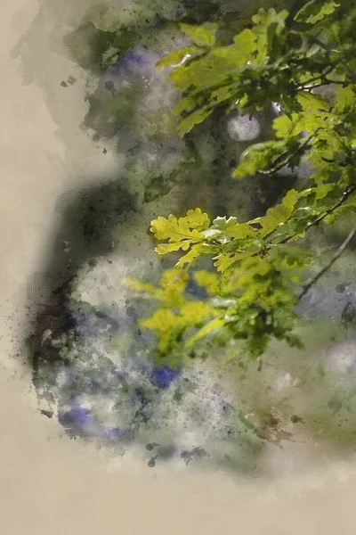 Digital Watercolour Painting Field Landscape Bluebell Woods Spring — Fotografia de Stock