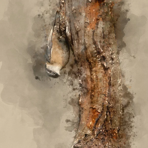 Digital Watercolour Painting Beautiful Nuthatch Bird Sitta Sittidae Tree Stump —  Fotos de Stock