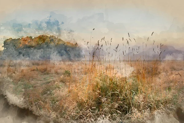 Cyfrowe Malarstwo Akwarelowe Piękna Jesień Jesień Wschód Słońca Mglisty Krajobraz — Zdjęcie stockowe
