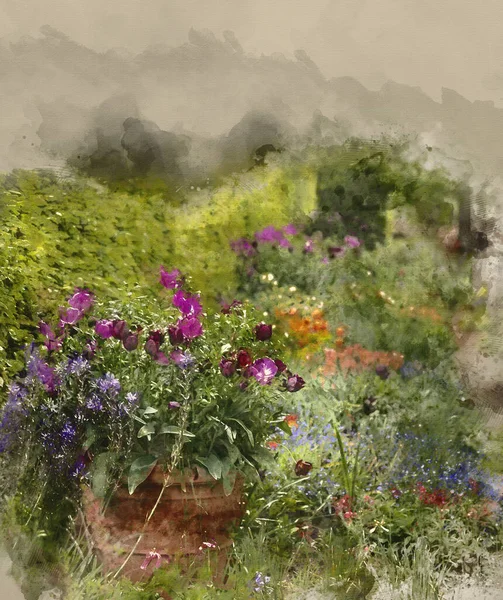 Digital Akvarellmålning Vackra Tulpaner Och Blommor Den Engelska Vårträdgården — Stockfoto