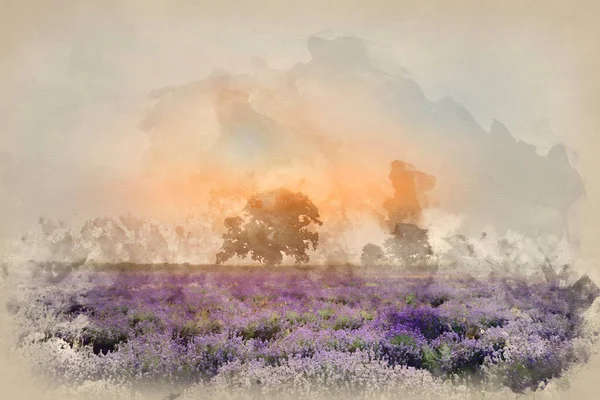 Pittura Digitale Acquerello Splendida Drammatica Nebbia Alba Paesaggio Sopra Campo — Foto Stock