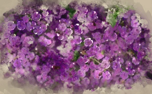 Digital Watercolour Painting Top View Image Purple Wild Flower Landscape — 스톡 사진